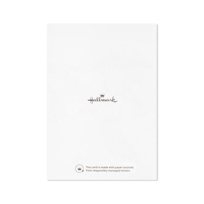White note cards with vivid blue foil script reading “All the Wishes,” bundled in kraft paper wrap.
