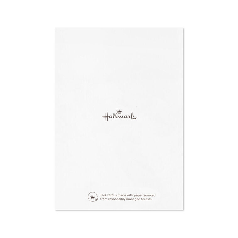 White note cards with vivid blue foil script reading “All the Wishes,” bundled in kraft paper wrap.
