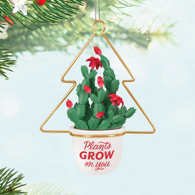 Christmas cactus ornament with red blooms in white planter and gold wire hanger, botanical holiday decor

