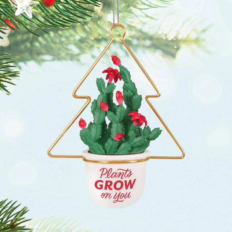 Christmas cactus ornament with red blooms in white planter and gold wire hanger, botanical holiday decor

