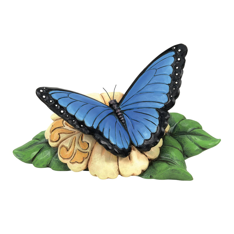 Blue morpho butterfly with large wings