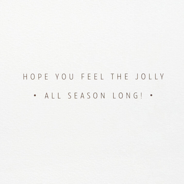 Santa Claus Sleigh Boxed Christmas Cards, Pack of 12