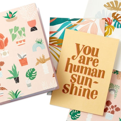 Soft pastel greeting card booklet with potted plant design on blush cover, includes 12 assorted all-occasion cards with modern illustrations and messages.
