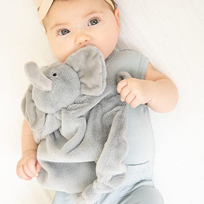 Evie the Elephant teether buddy with soft plush body, textured teething rings, and gentle rattle, perfect for soothing.