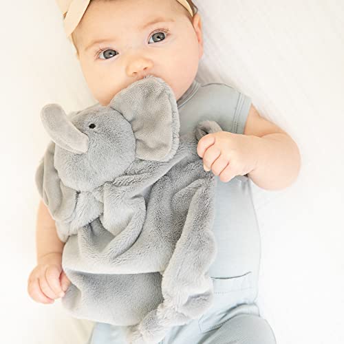 Evie the Elephant teether buddy with soft plush body, textured teething rings, and gentle rattle, perfect for soothing.