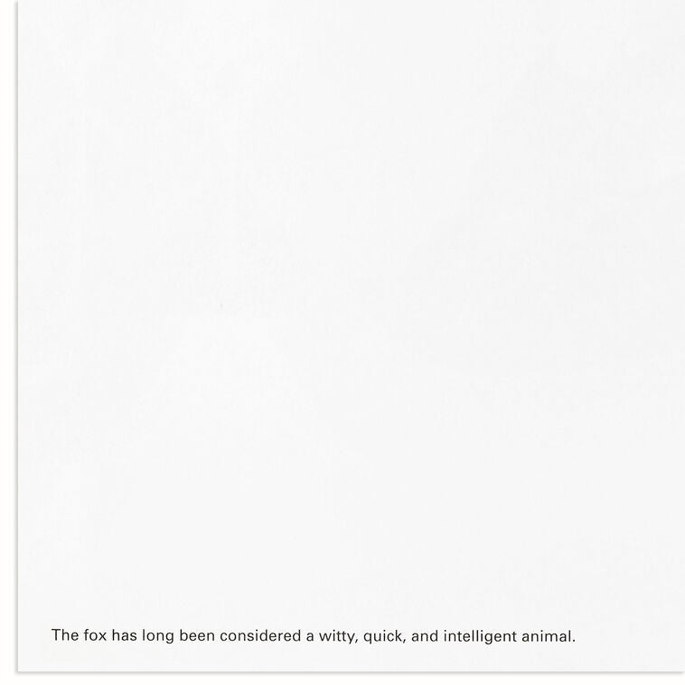 UNICEF Fox in Forest Boxed Holiday Cards, Pack of 12