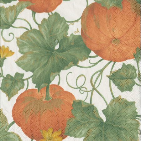 Paper Luncheon Napkins Heirloom Pumpkins Ivory/Orange