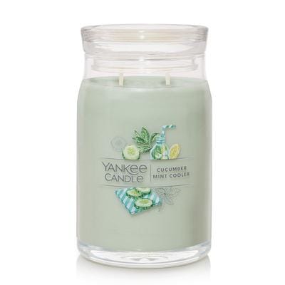 Cucumber Mint Cooler Signature Large Jar Candle