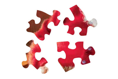 Santa's Cat Nap 1000 Piece Jigsaw Puzzle