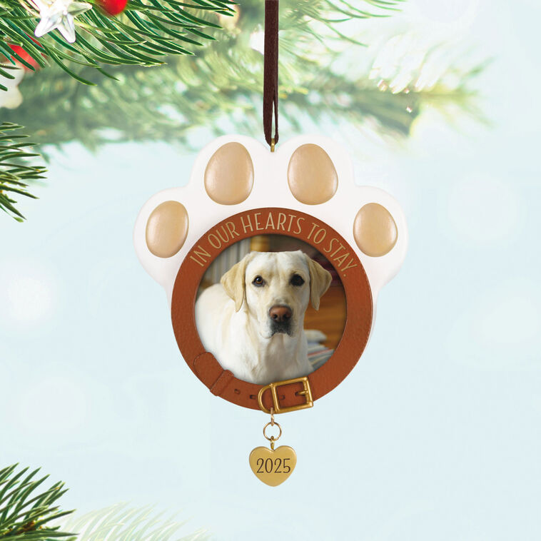 Paw-shaped pet memorial ornament with photo frame, metal heart charm dated 2025, and “In Our Hearts to Stay” collar design.
