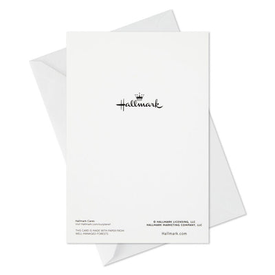 Pine Wreath on Wood Plank Door Boxed Christmas Cards, Pack of 40