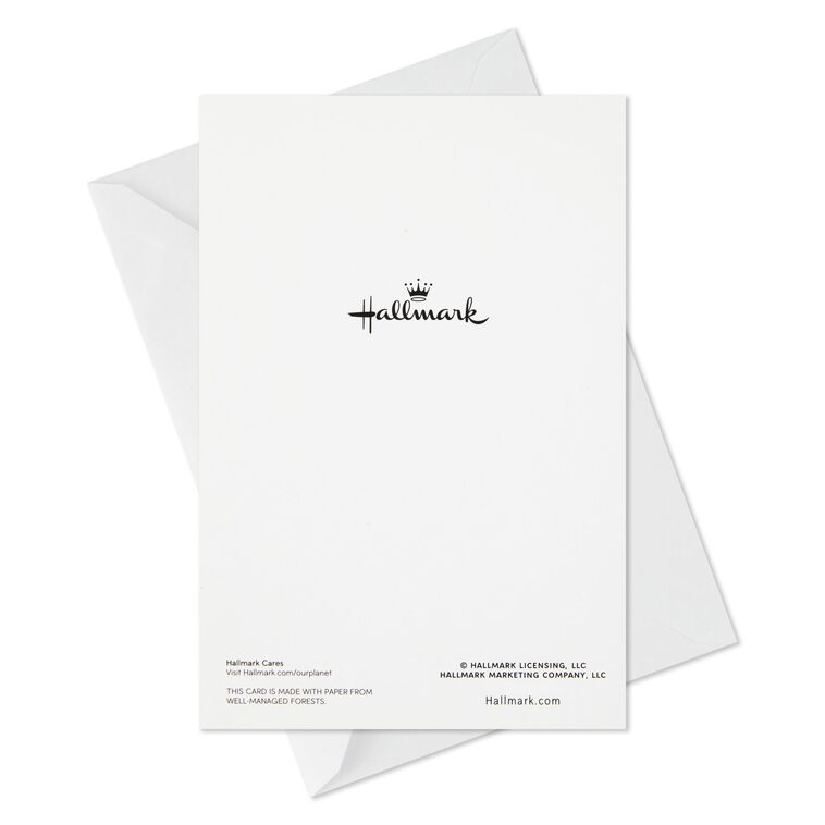 Pine Wreath on Wood Plank Door Boxed Christmas Cards, Pack of 40