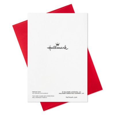 Poinsettias and Evergreen Boughs Packaged Christmas Cards, Set of 5