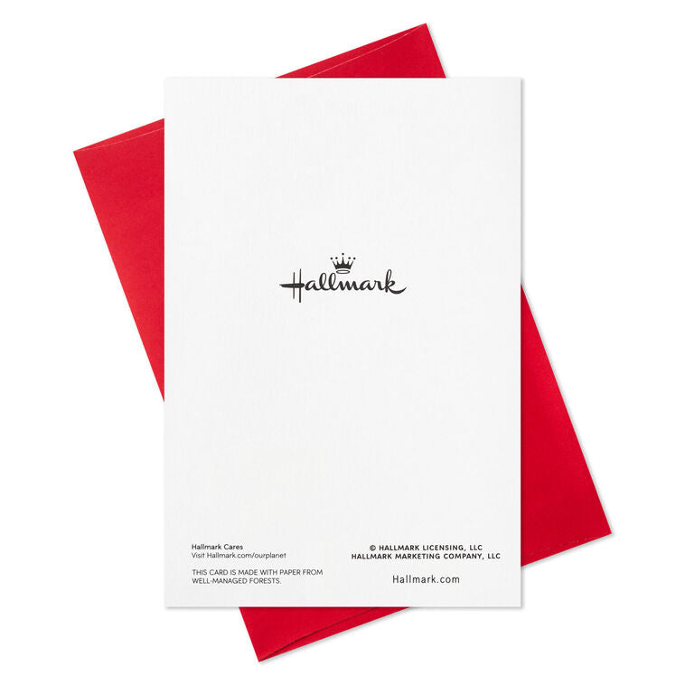 Poinsettias and Evergreen Boughs Packaged Christmas Cards, Set of 5