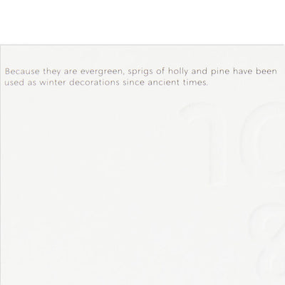 UNICEF Peace and Joy Dove Boxed Christmas Cards, Pack of 12