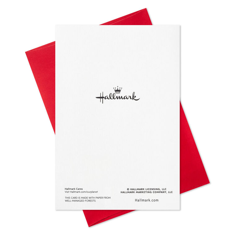 Elegant Evergreen With Star Packaged Christmas Cards, Set of 5