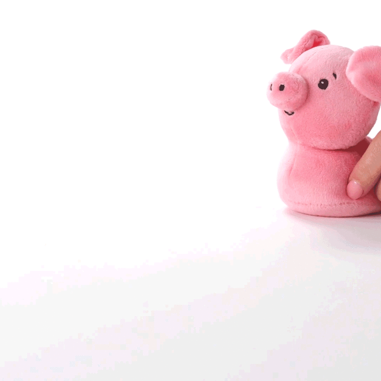 Zip-Along Pig Plush Toy