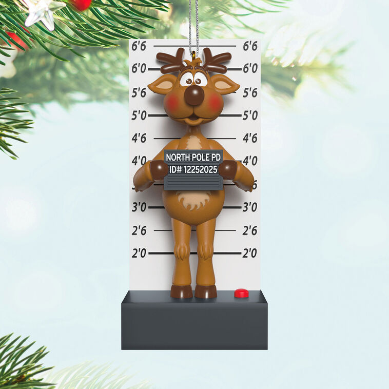Funny reindeer Christmas ornament in a mug shot pose, plays “Grandma Got Run Over by a Reindeer,” battery operated


