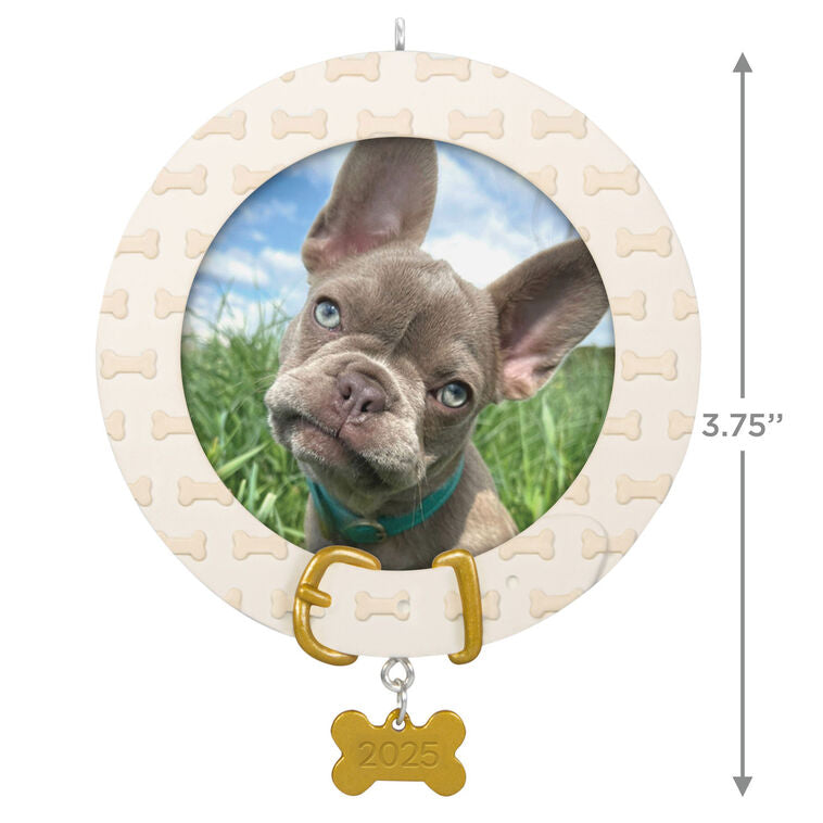 Dog photo frame ornament with bone-shaped charm and collar design, year-dated 2025 for pet’s first Christmas keepsake

