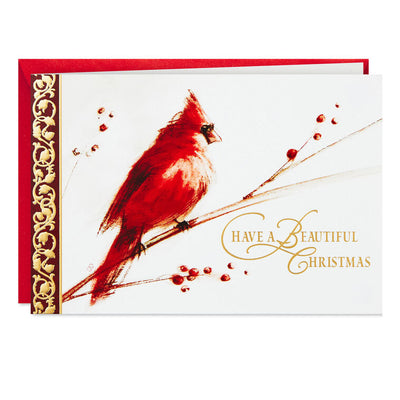 Cardinal on Branch Boxed Christmas Cards, Pack of 40