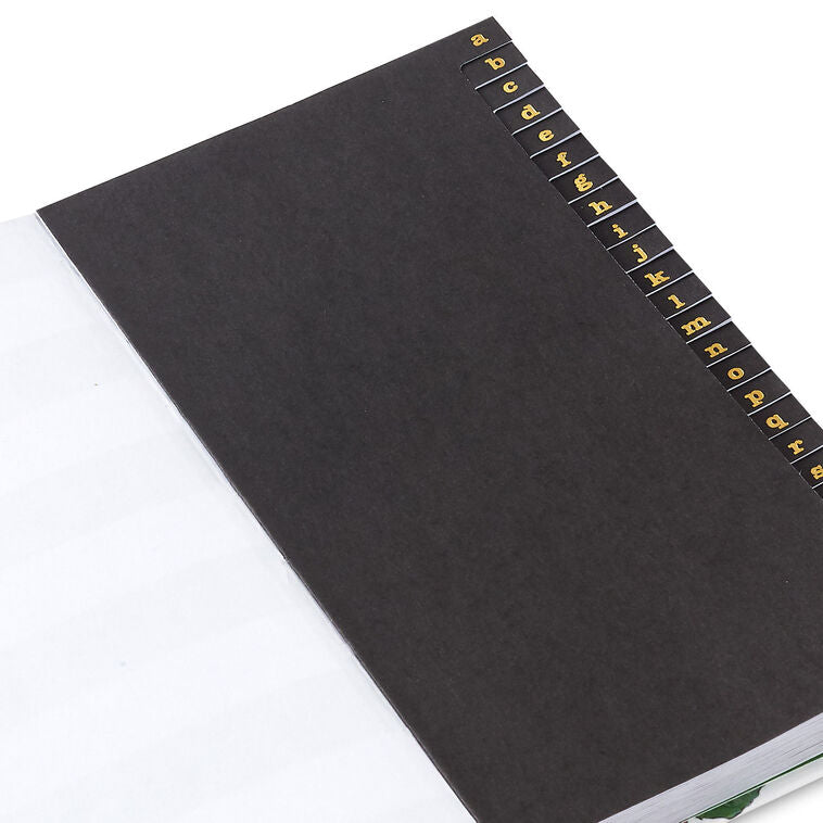 Password keeper book with fuchsia and cream floral cover, alphabetical tabs, and striped end sheets.