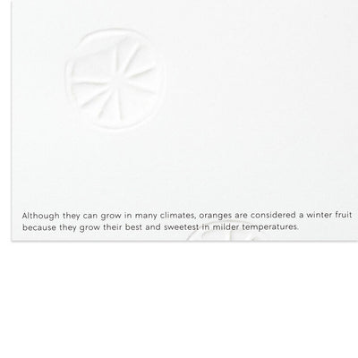 UNICEF Lush Citrus and Botanicals Boxed Christmas Cards, Pack of 20