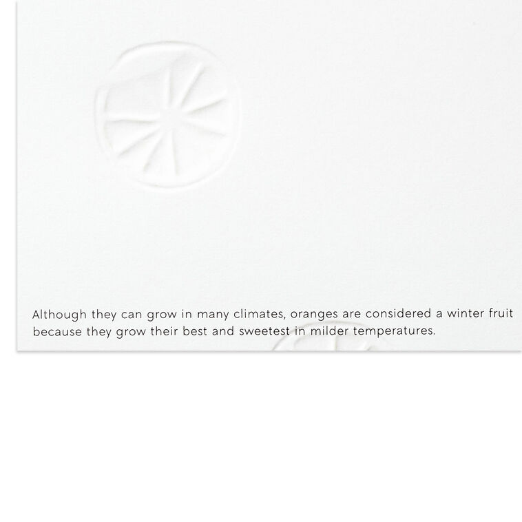 UNICEF Lush Citrus and Botanicals Boxed Christmas Cards, Pack of 20