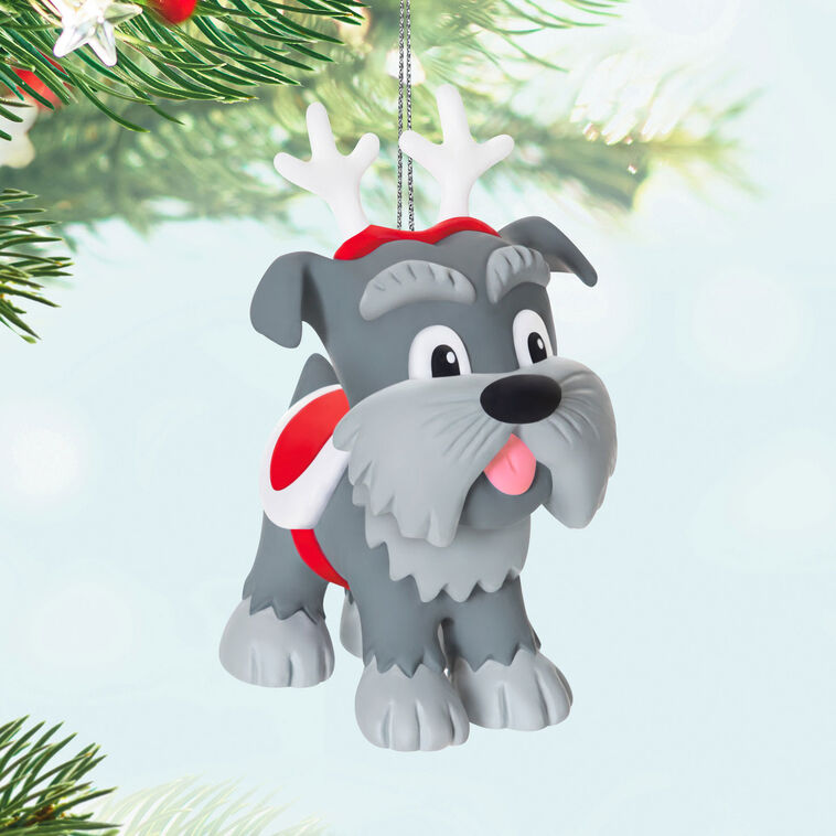 Mini gray schnauzer ornament with reindeer antlers and red blanket, Hallmark Keepsake Howliday Helpers Christmas dog collectible