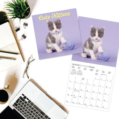 Cute Kittens 12 x 12 Wall Calendar