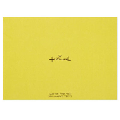 Assorted whimsical note cards with gold foil accents in multiple designs, includes envelopes and reusable caddy.