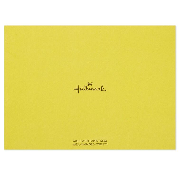 Assorted whimsical note cards with gold foil accents in multiple designs, includes envelopes and reusable caddy.