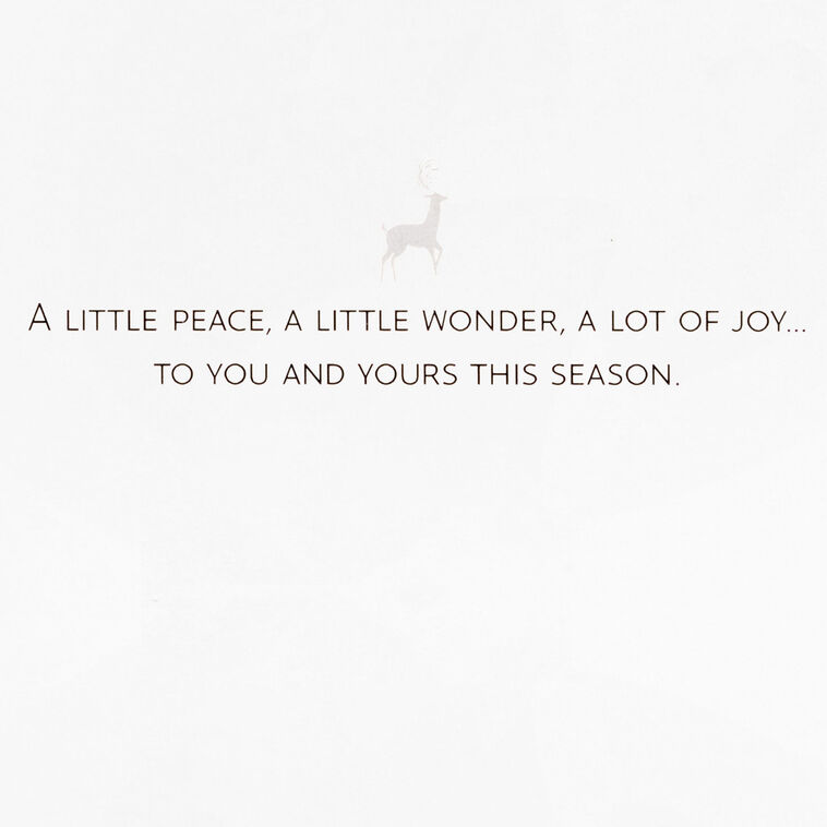 Snowy Landscape With Deer Boxed Holiday Cards, Pack of 16