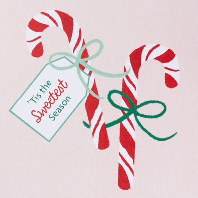 Candy Canes on Pink Scented Boxed Christmas Cards, Pack of 12