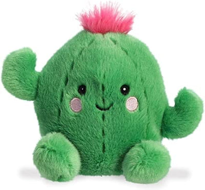 Green plush cactus with a pink flower crown