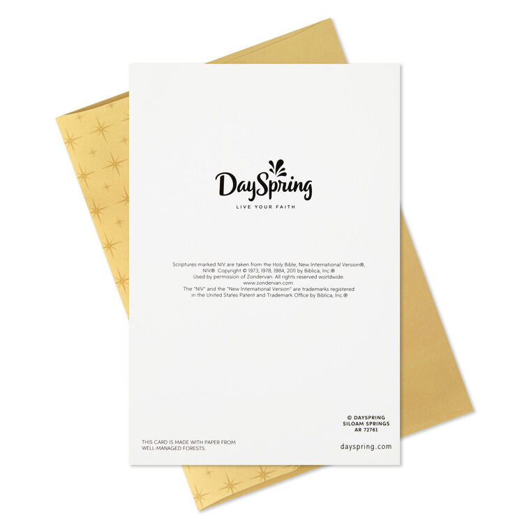 Baby Jesus in the Manger Religious Boxed Christmas Cards, Pack of 16