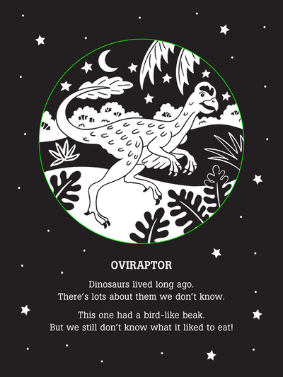 Peter Pauper Press Dinos After Dark shadow book with dinosaur rhymes and light-up shadow play, ages 3 to 9.
