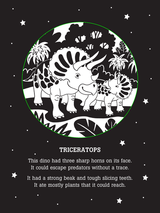 Peter Pauper Press Dinos After Dark shadow book with dinosaur rhymes and light-up shadow play, ages 3 to 9.