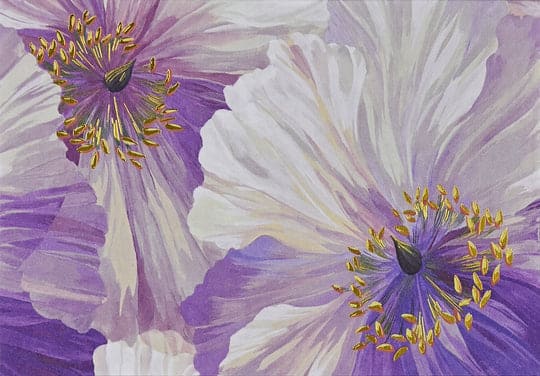 Peter Pauper Press Poppies in Bloom note cards with pink, white, and violet poppies and gold foil accents, boxed with envelopes.