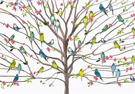 Peter Pauper Press Tree of Budgies note cards with green and blue parakeets, pink blossoms, and matching self-sealing envelopes.