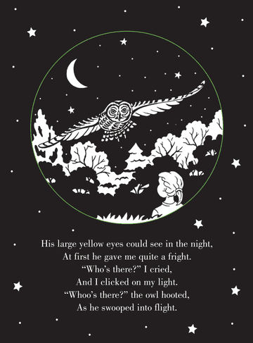 Bedtime shadow book with owl-themed rhymes; kids can shine light through pages to project images on the wall for a fun nighttime read.