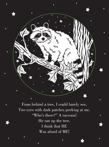 Bedtime shadow book with owl-themed rhymes; kids can shine light through pages to project images on the wall for a fun nighttime read.