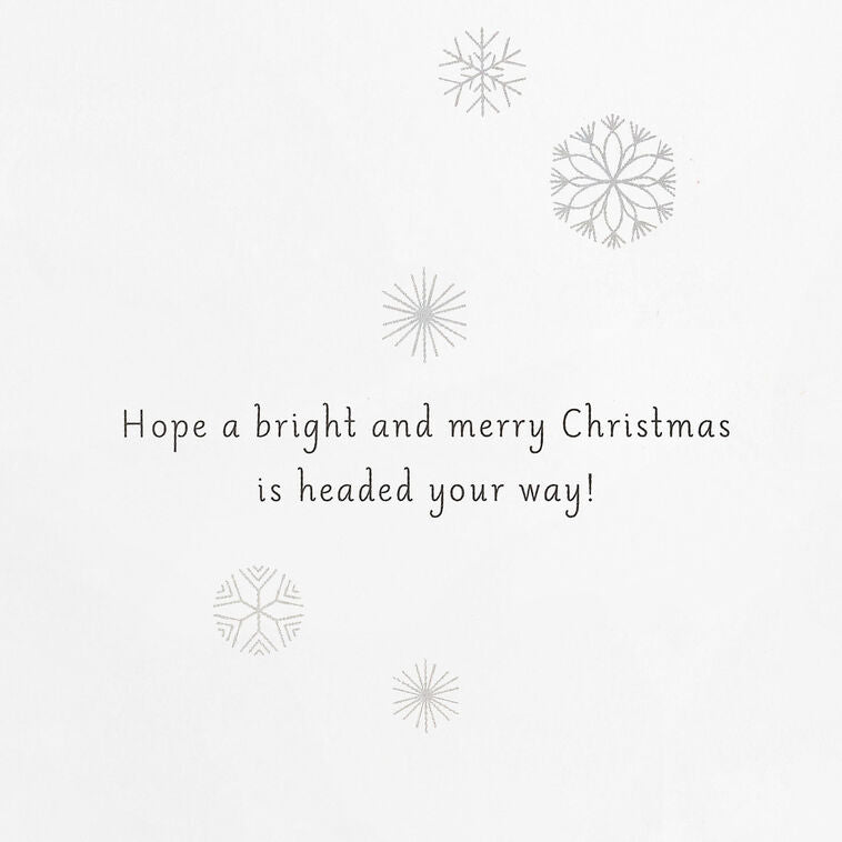 UNICEF Cute Critter Pyramid Boxed Christmas Cards, Pack of 12