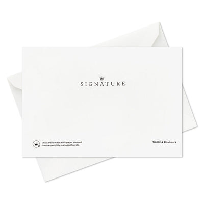 Santa Claus Sleigh Boxed Christmas Cards, Pack of 12