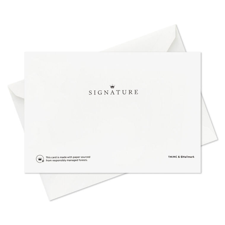 Santa Claus Sleigh Boxed Christmas Cards, Pack of 12