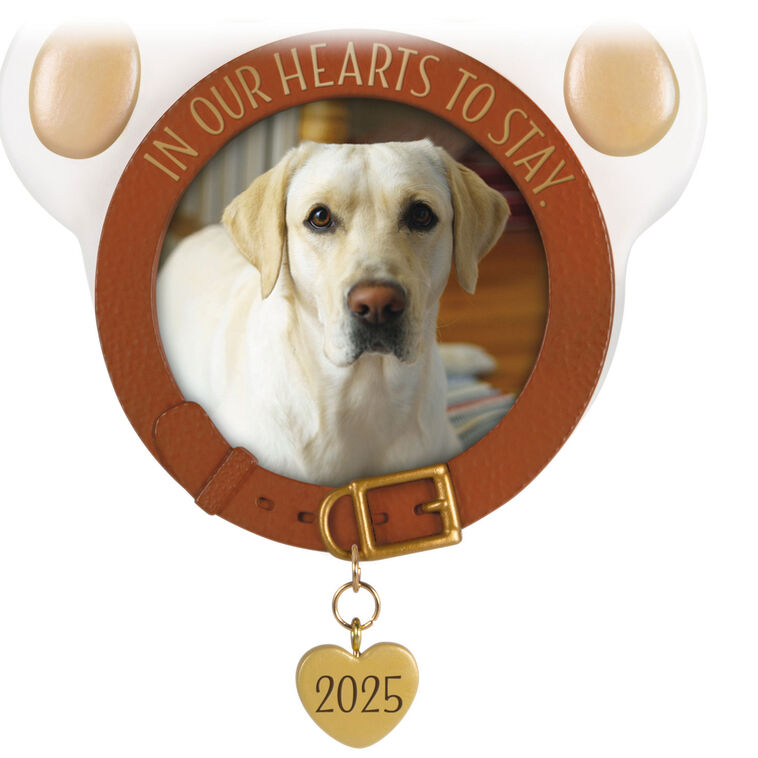 Paw-shaped pet memorial ornament with photo frame, metal heart charm dated 2025, and “In Our Hearts to Stay” collar design.
