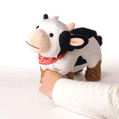 Spotted cow plush toy wearing red bandana and cowboy boots, dancing to 'Boot Scootin’ Boogie' by Brooks & Dunn.

