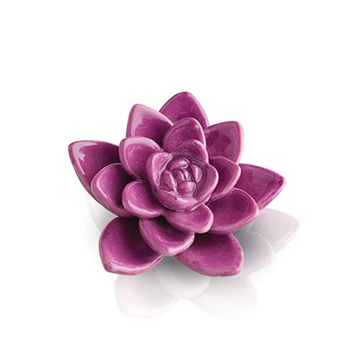 Close-up of a purple lotus flower on a white background