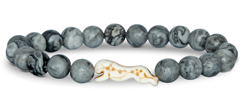 The Sprint - Cheetah - Cloudburst