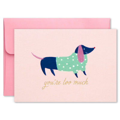Hallmark blank note cards boxed set with butterfly, dog, stripes, flowers, bold lettering, and foil accents, pack of 24