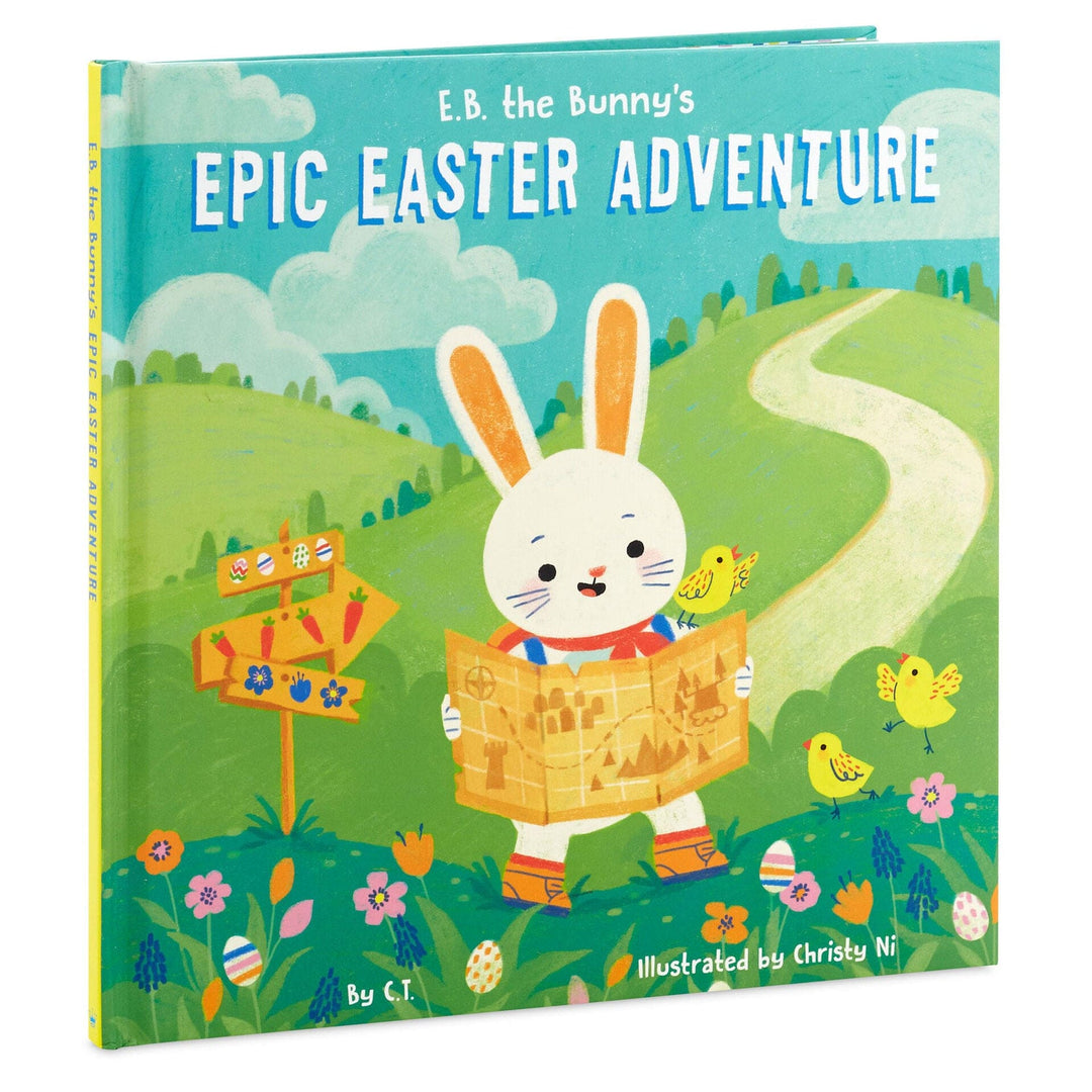 洋書 Curious e and the Bunny Boomer The Curious Bunny: Diann Floyd Boehm, Judy Gaudet